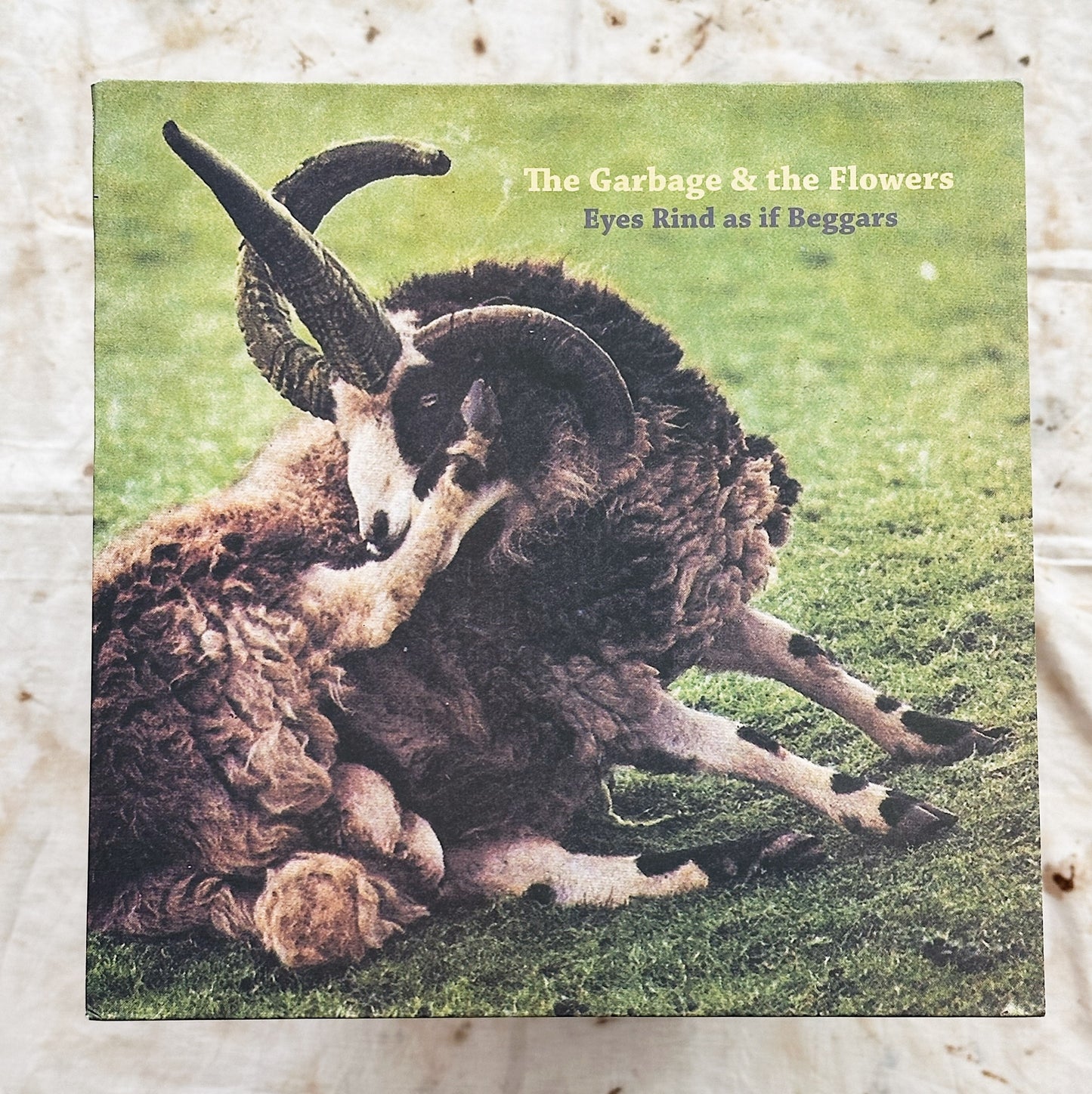 The Garbage & The Flowers / Eyes Rind As If Beggars LP