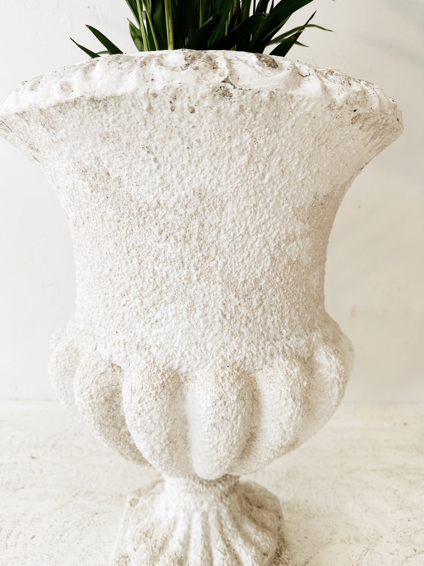 Mid Century Tulip Concrete Planter / 2 Available