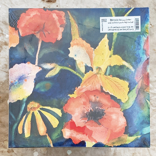 Adrianne Lenker / Songs and Instrumentals 2LP
