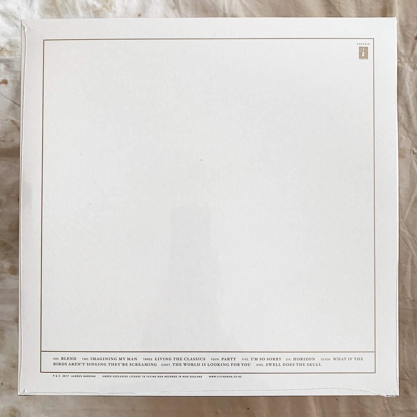 Aldous Harding / Party LP
