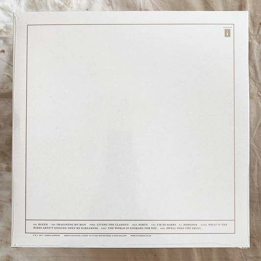 Aldous Harding / Party LP