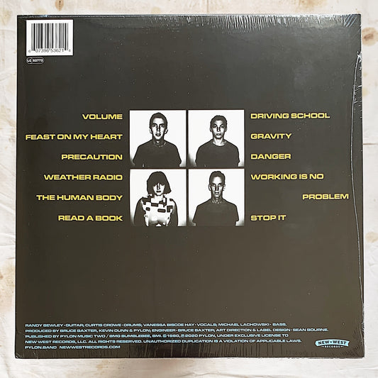 Pylon / Gyrate LP