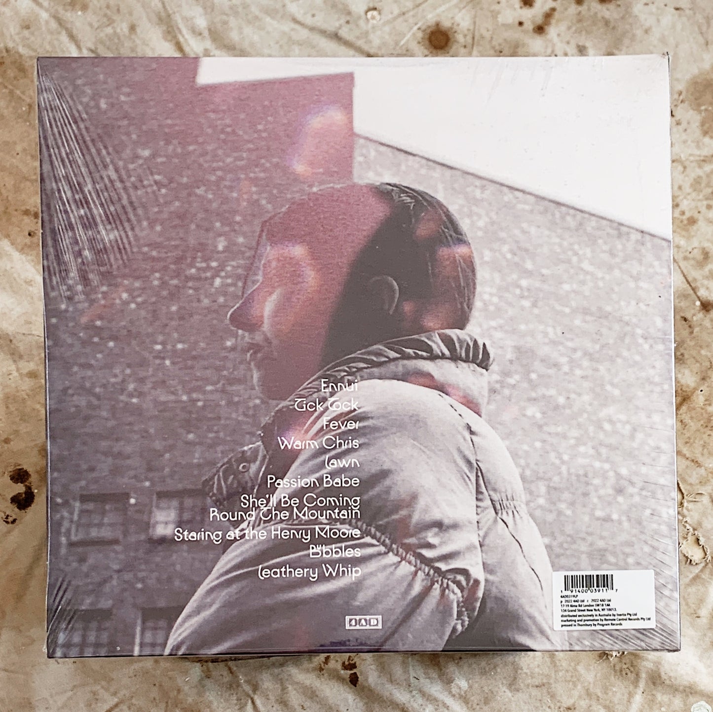 Aldous Harding / Warm Chris LP