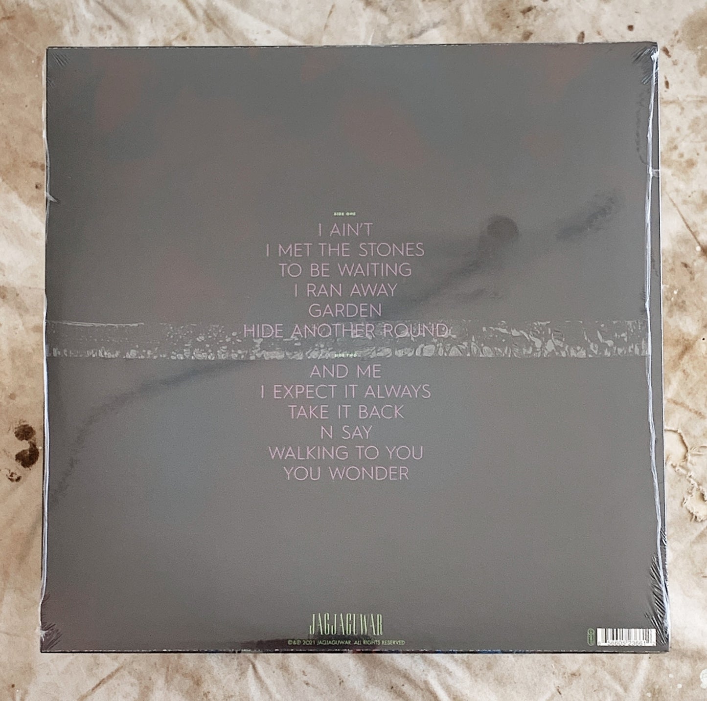 Dinosaur Jr / Sweep It Into Space LP