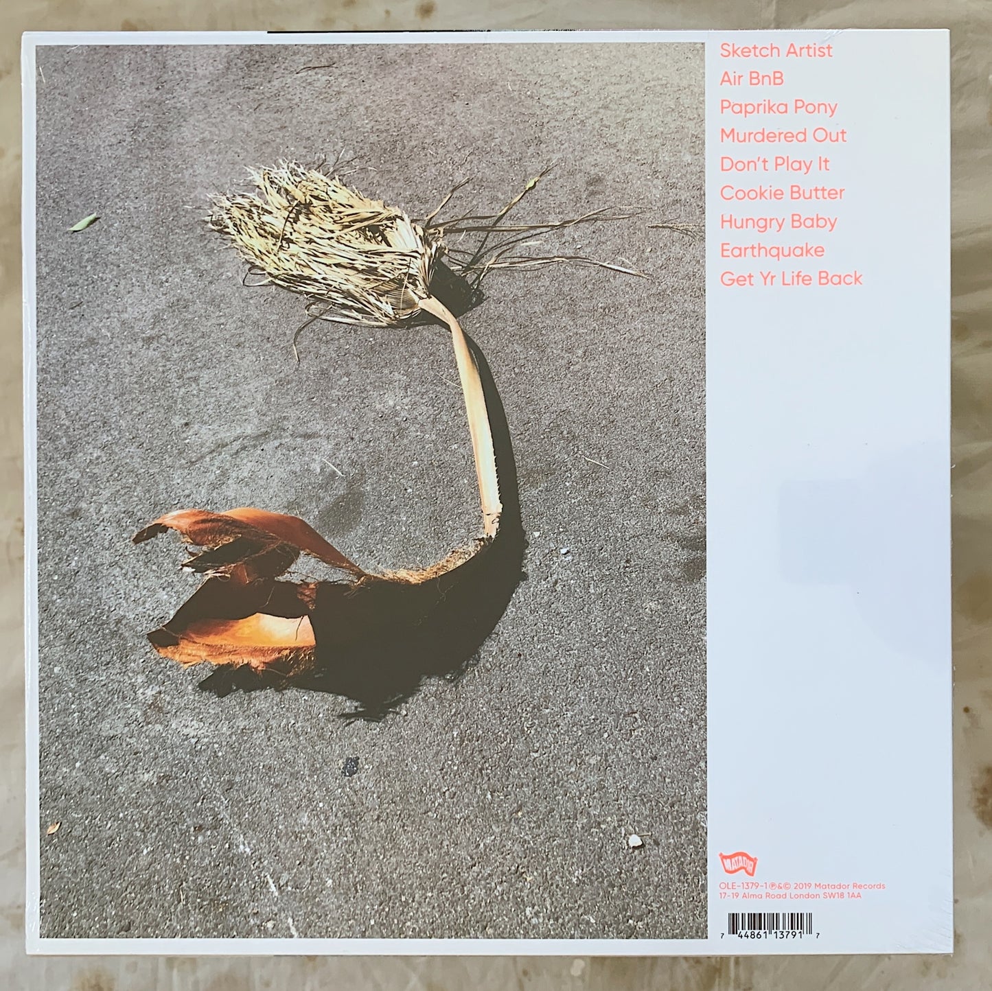 Kim Gordon / No Home Record LP