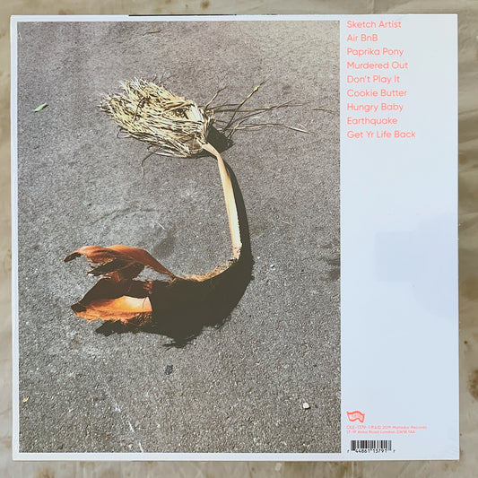 Kim Gordon / No Home Record LP