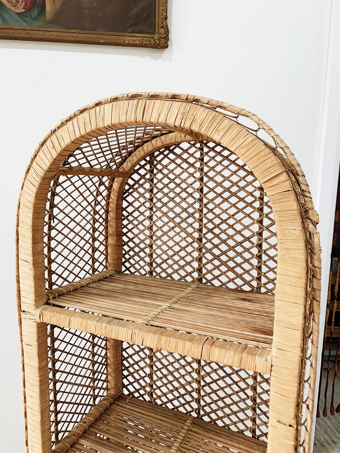 Peacock Cane Bookshelf