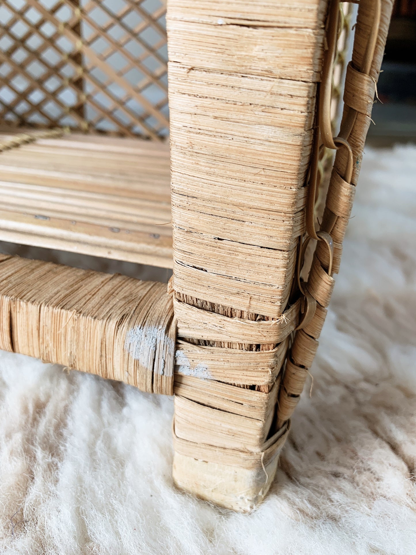 Peacock Cane Bookshelf