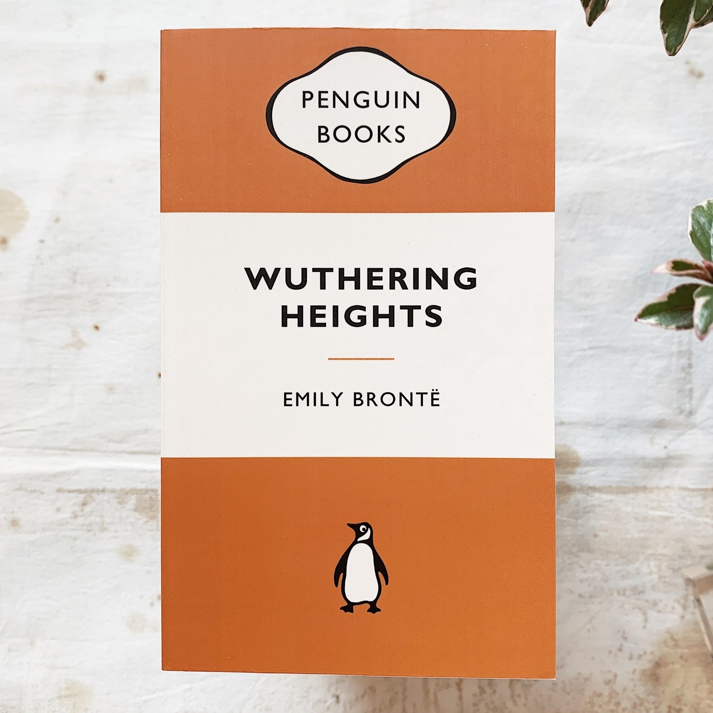 Wuthering Heights / Emily Bronte