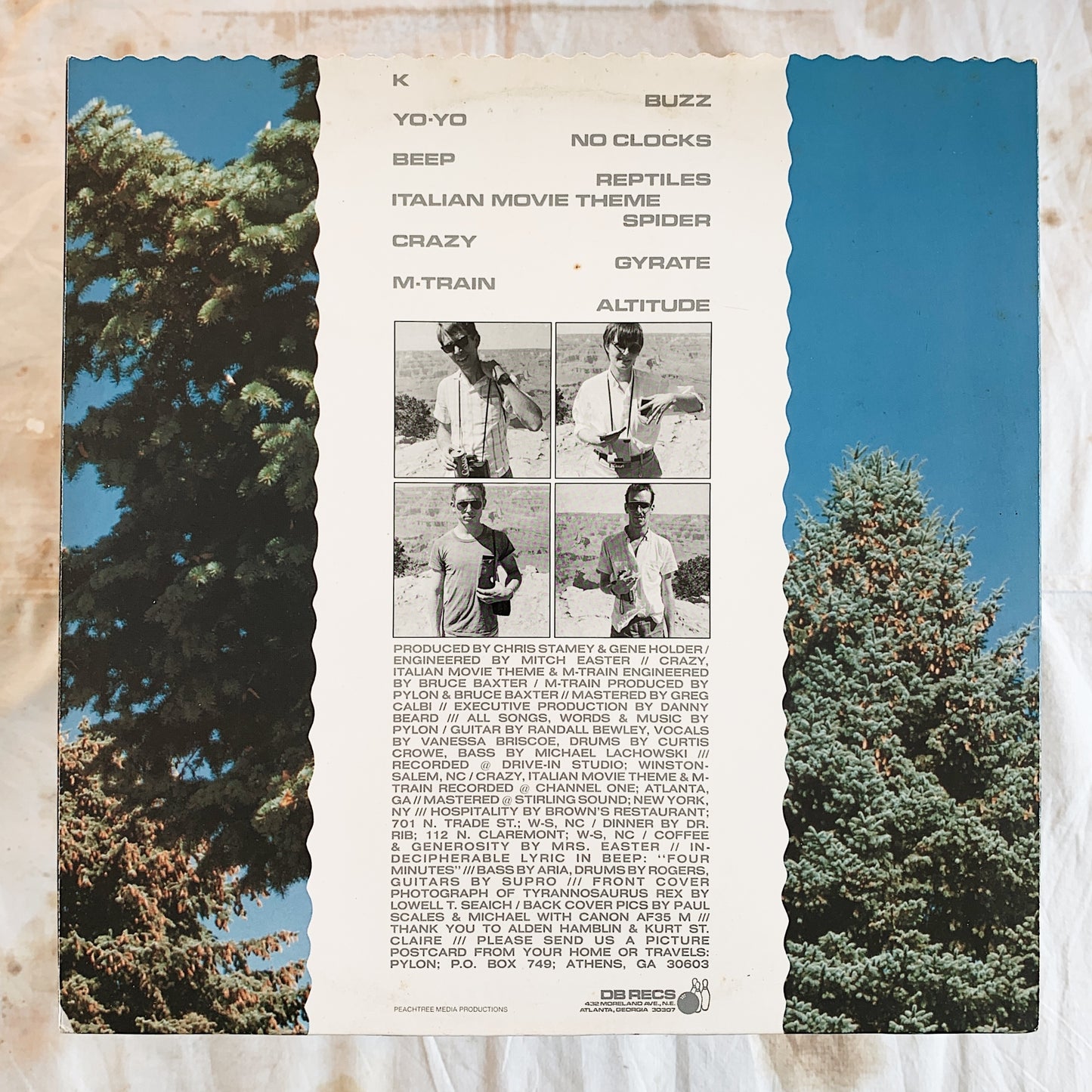 Pylon / Chomp LP