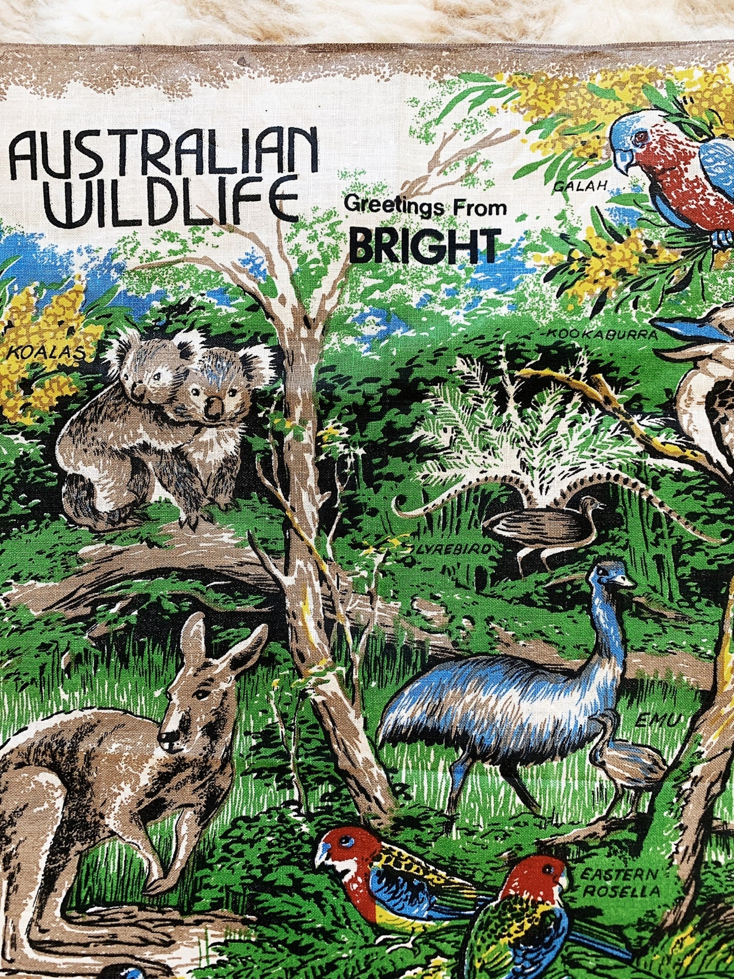 Hand Printed Australian Wildlife Bright Souvenir Tea Towel