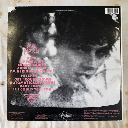 The Pastels / Up For a Bit With The Pastels LP
