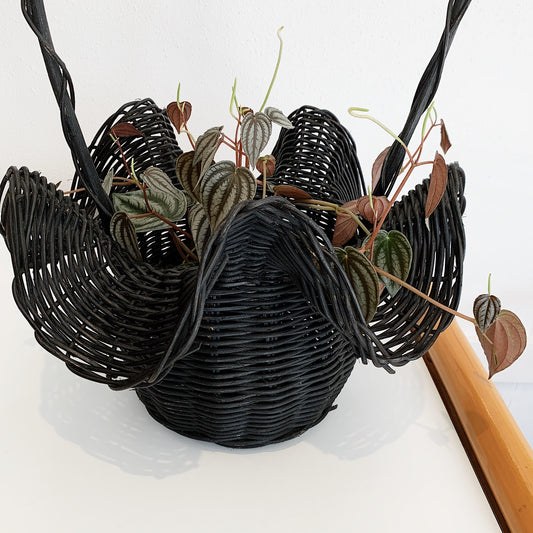Vintage Curly Wurly Basket