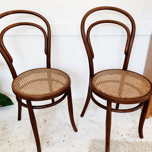 Harnisch & Co. Hungarian Bentwood Chair