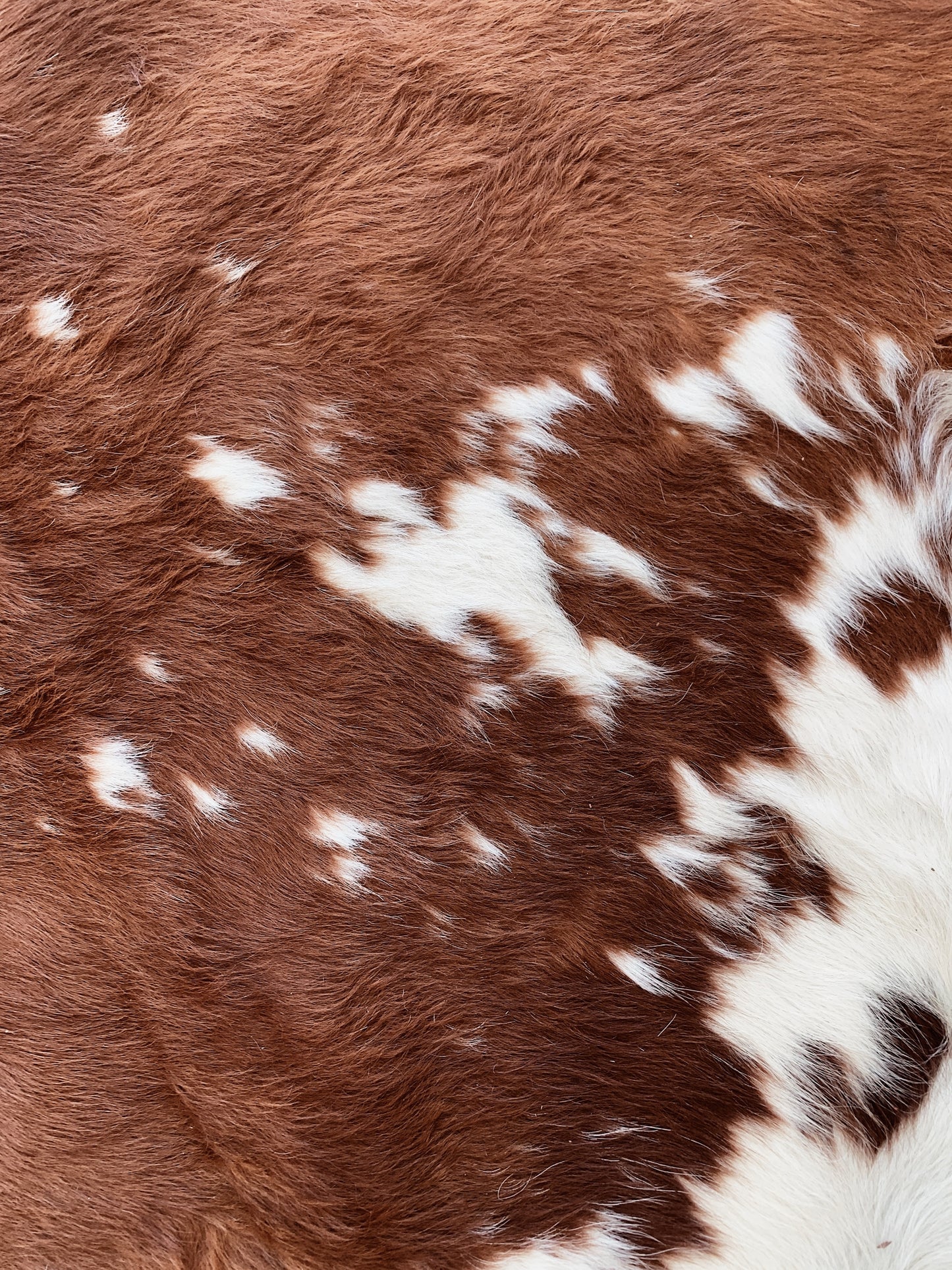 Vintage Leather Cowhide Rug