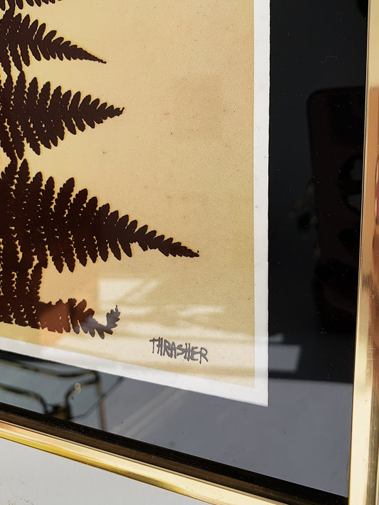 Vintage Virgil Thrasher Ferns Framed Print