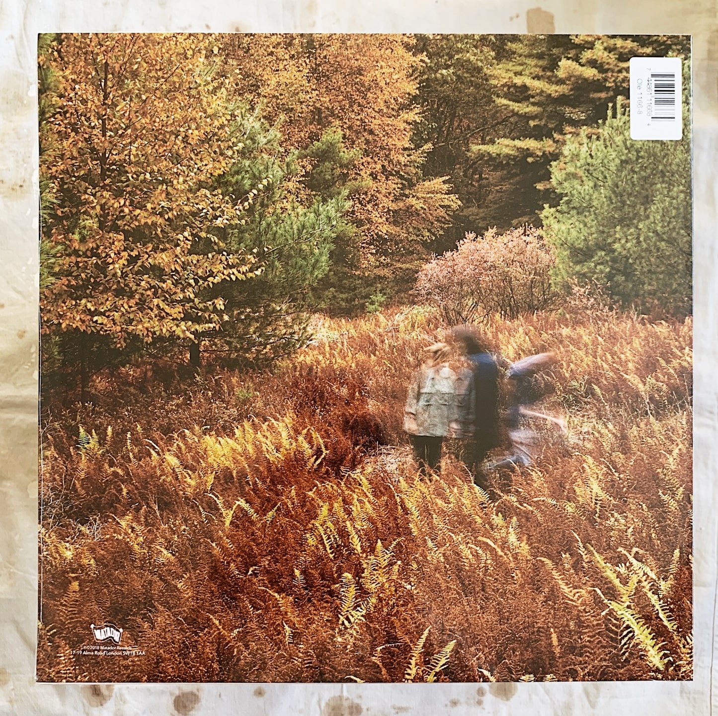 Yo La Tengo / There's a Riot Going On LP