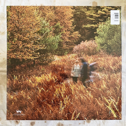 Yo La Tengo / There's a Riot Going On LP