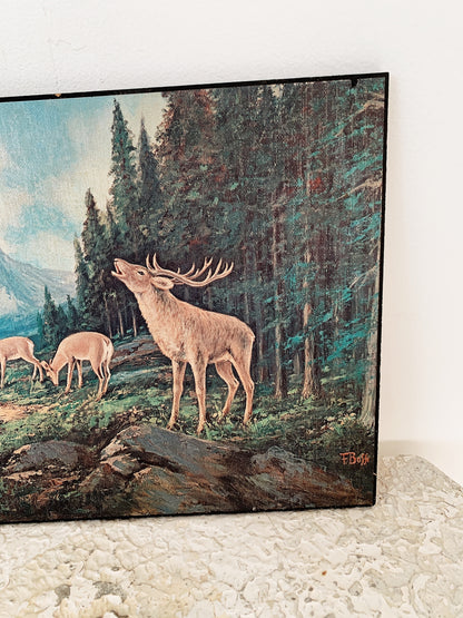 F. Bossi Wild Deer Block Mount Print