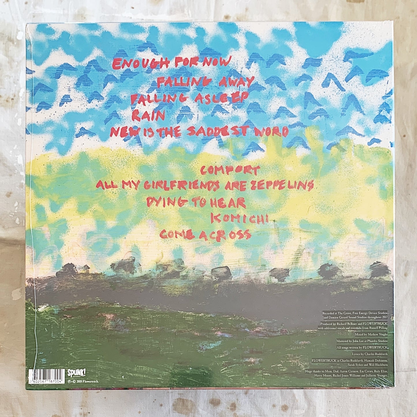 Flowertruck / Mostly Sunny LP