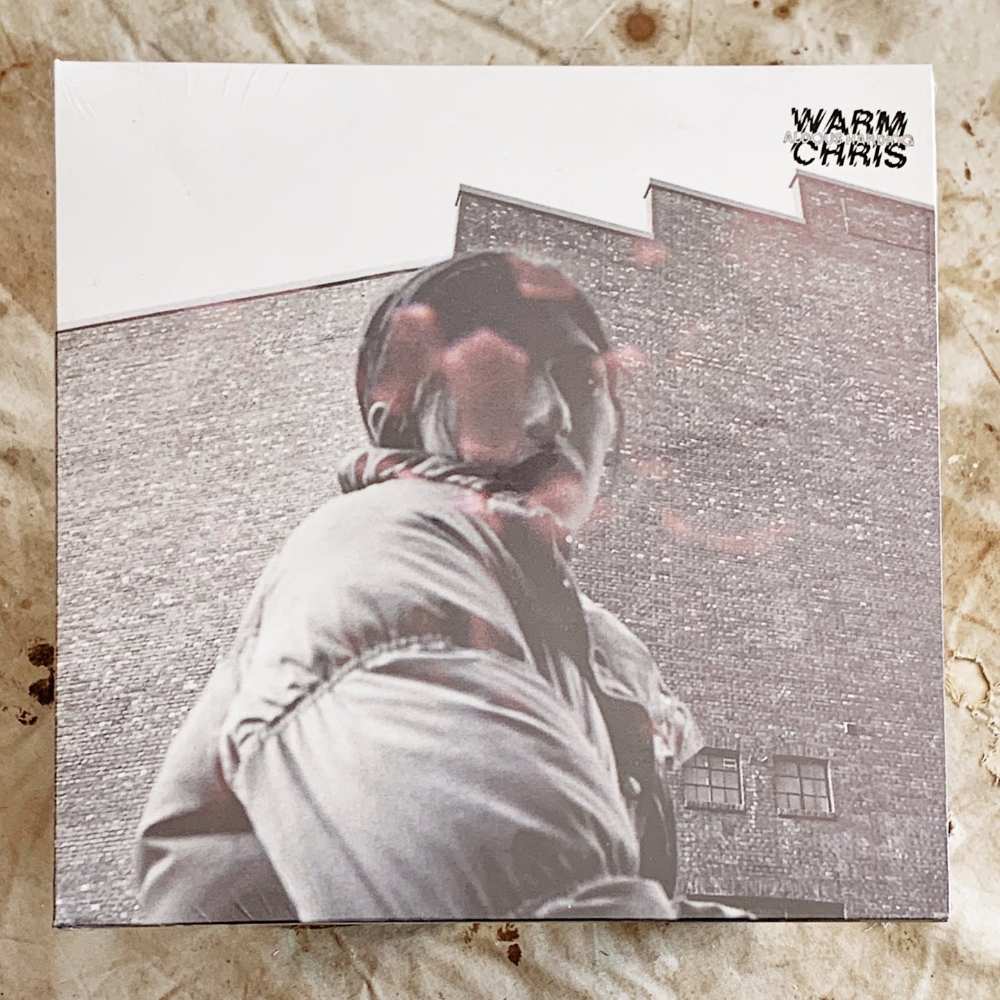 Aldous Harding / Warm Chris LP