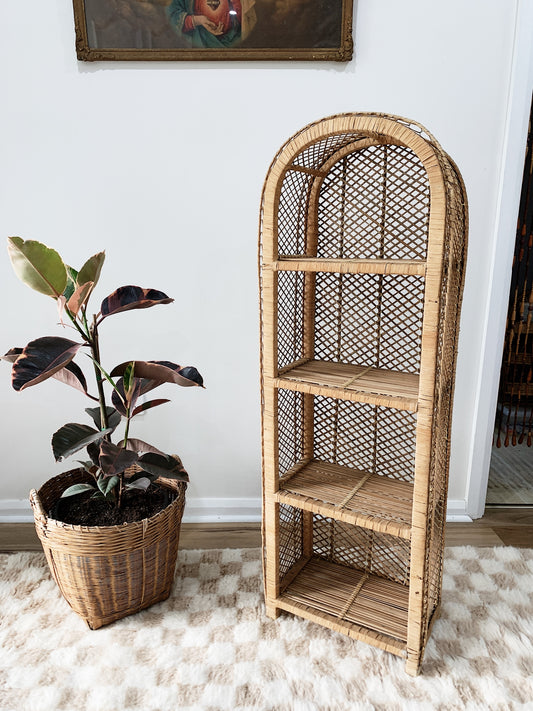 Peacock Cane Bookshelf