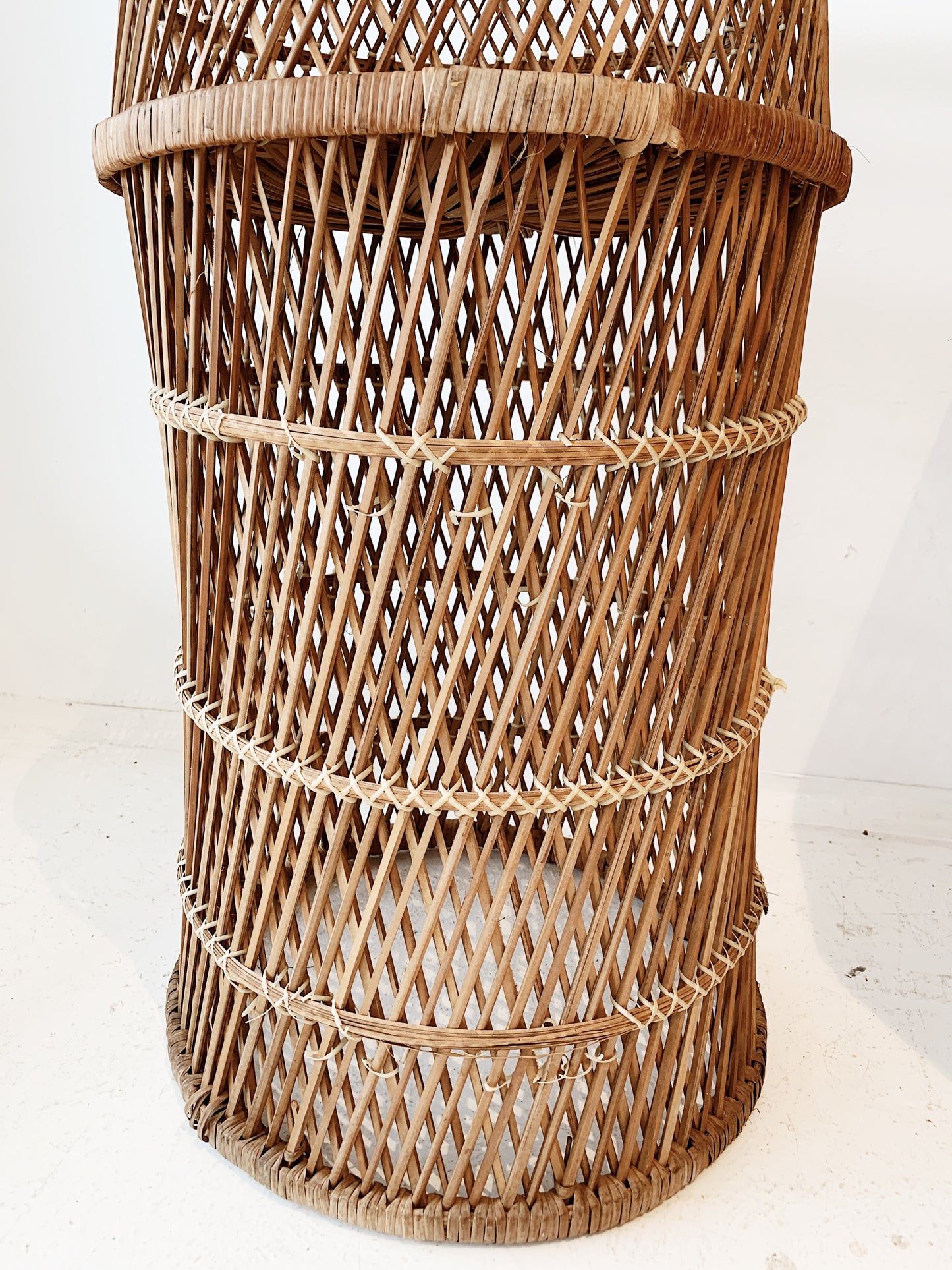 Peacock Cane Plant Stand
