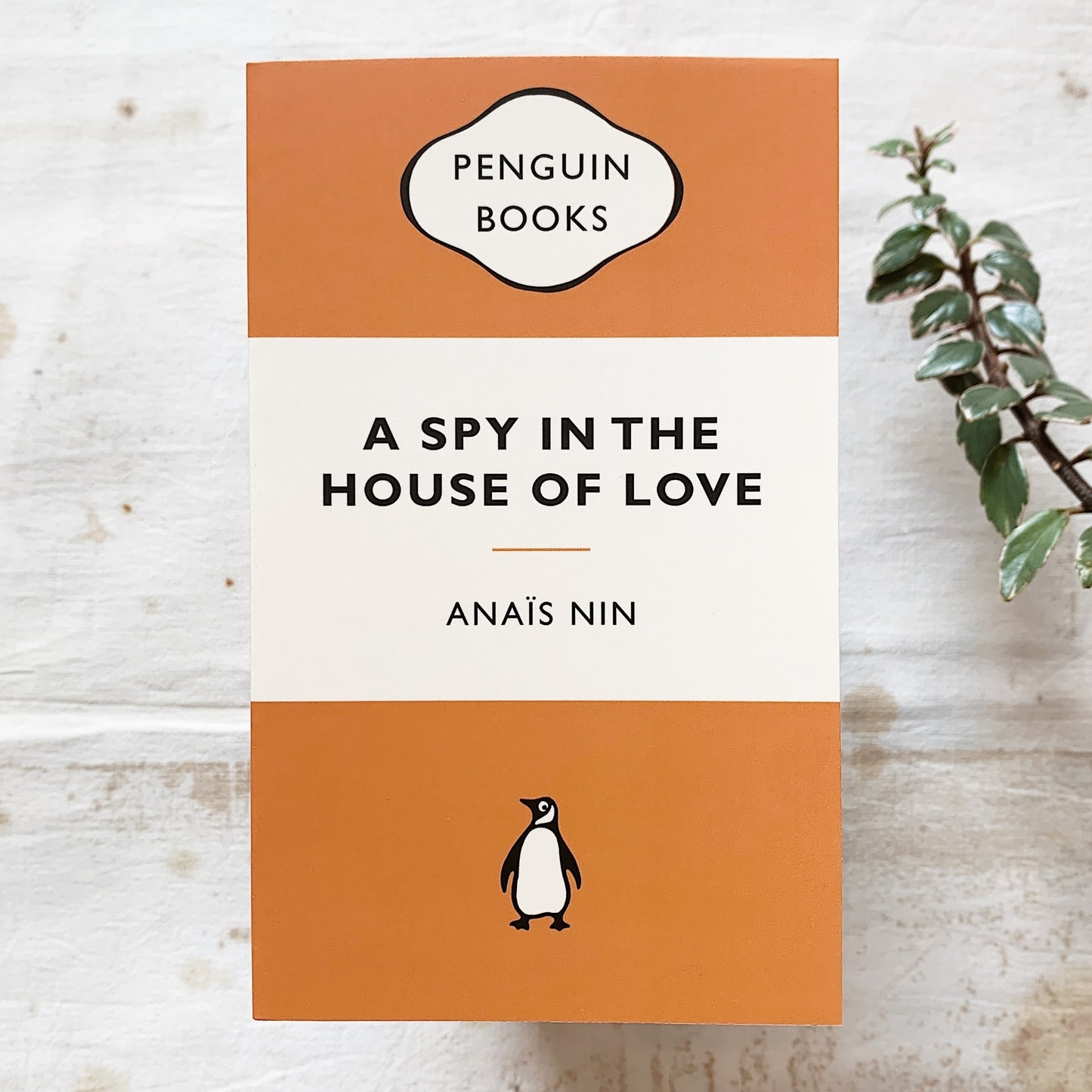 A Spy in the House of Love / Anais Nin