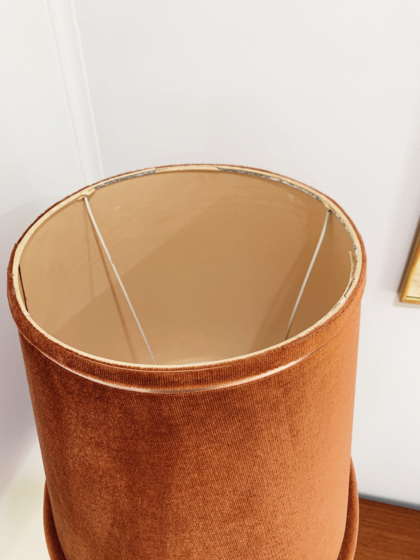 Brass Floor Lamp & Rust Velour Shade