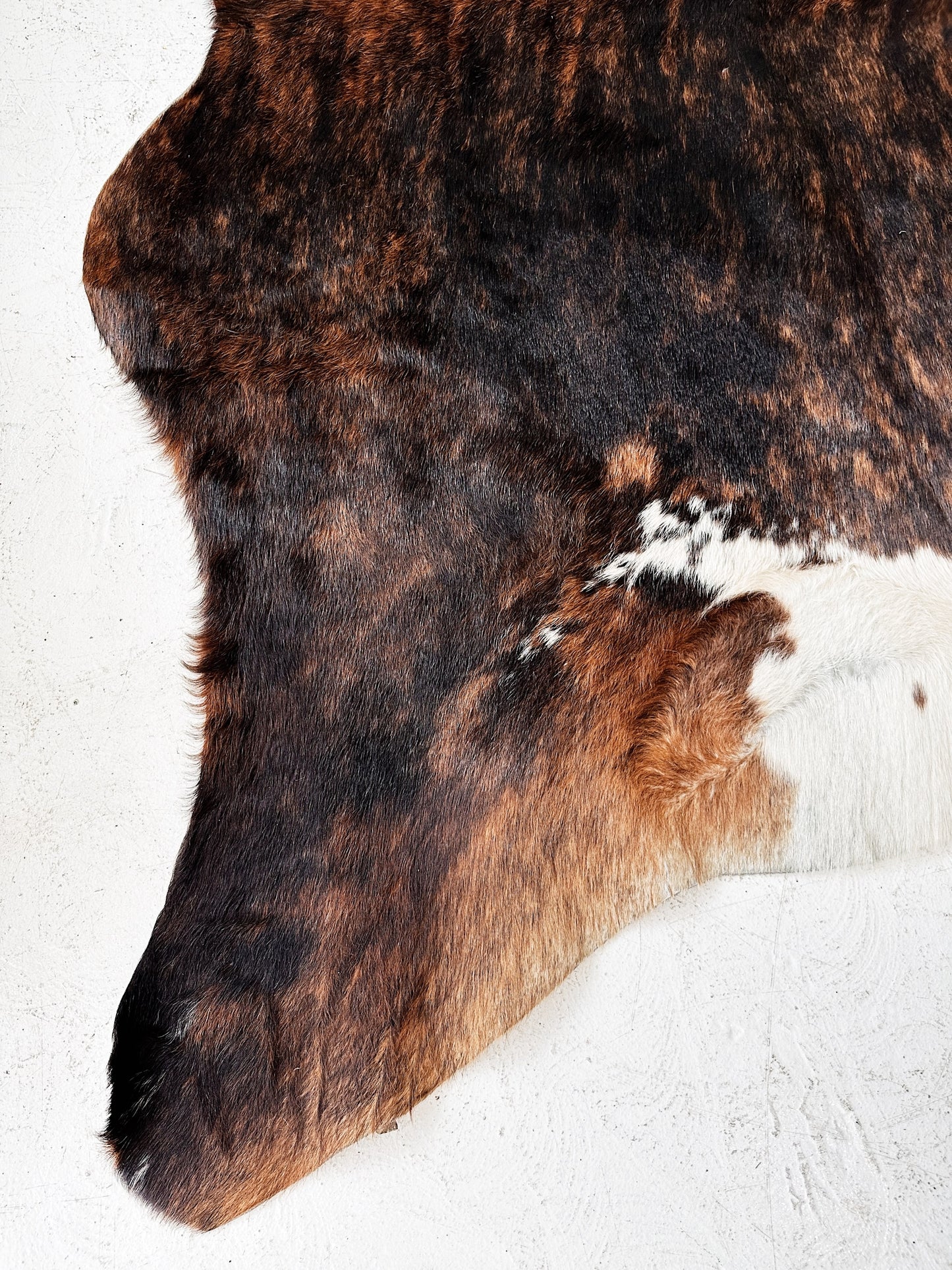 Vintage Brazilian Cowhide Rug