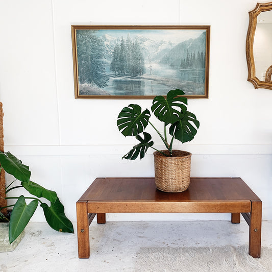 Vintage Danish Deluxe Maxi Coffee Table
