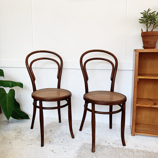 Harnisch & Co. Hungarian Bentwood Chair