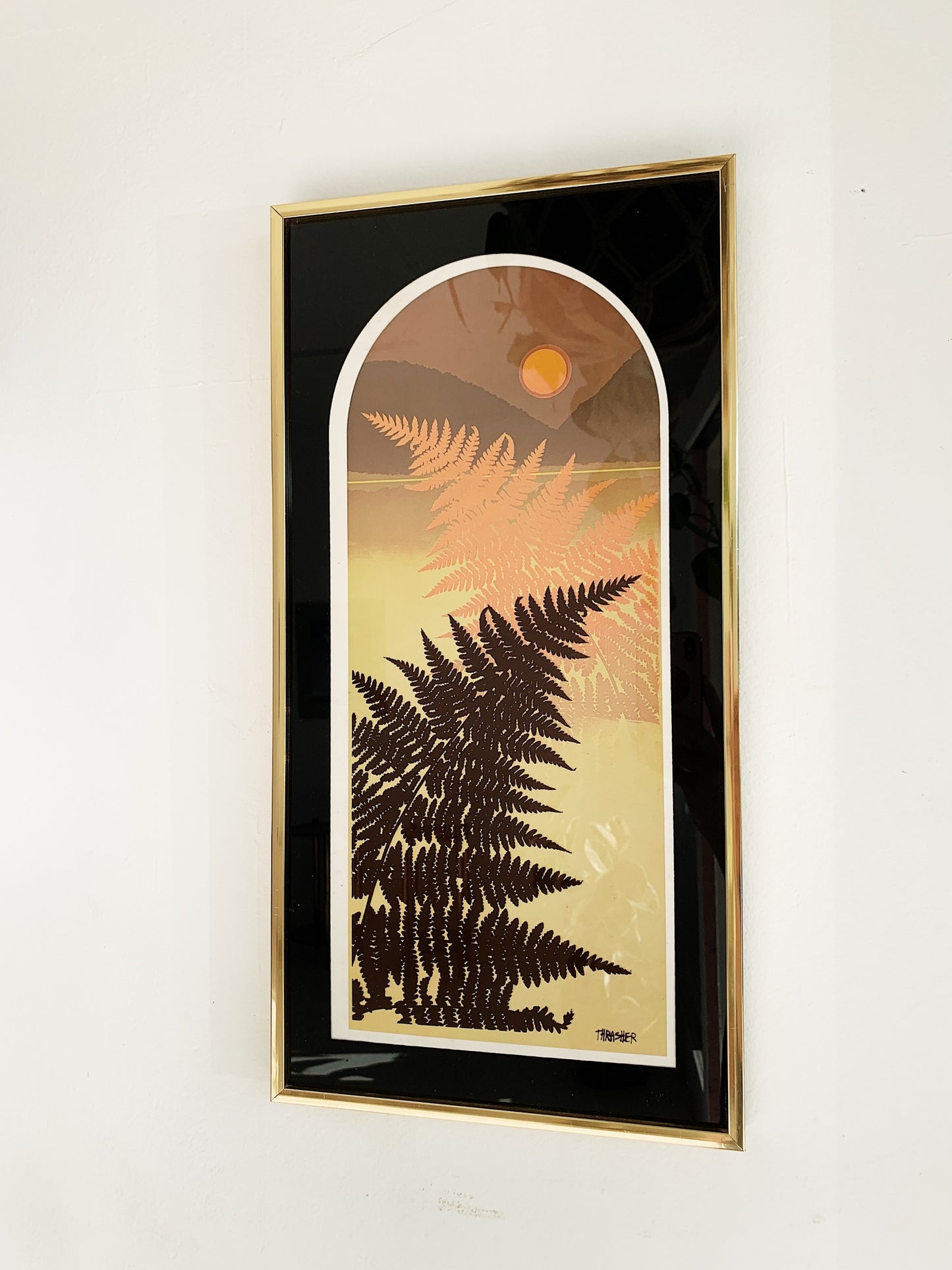 Vintage Virgil Thrasher Ferns Framed Print