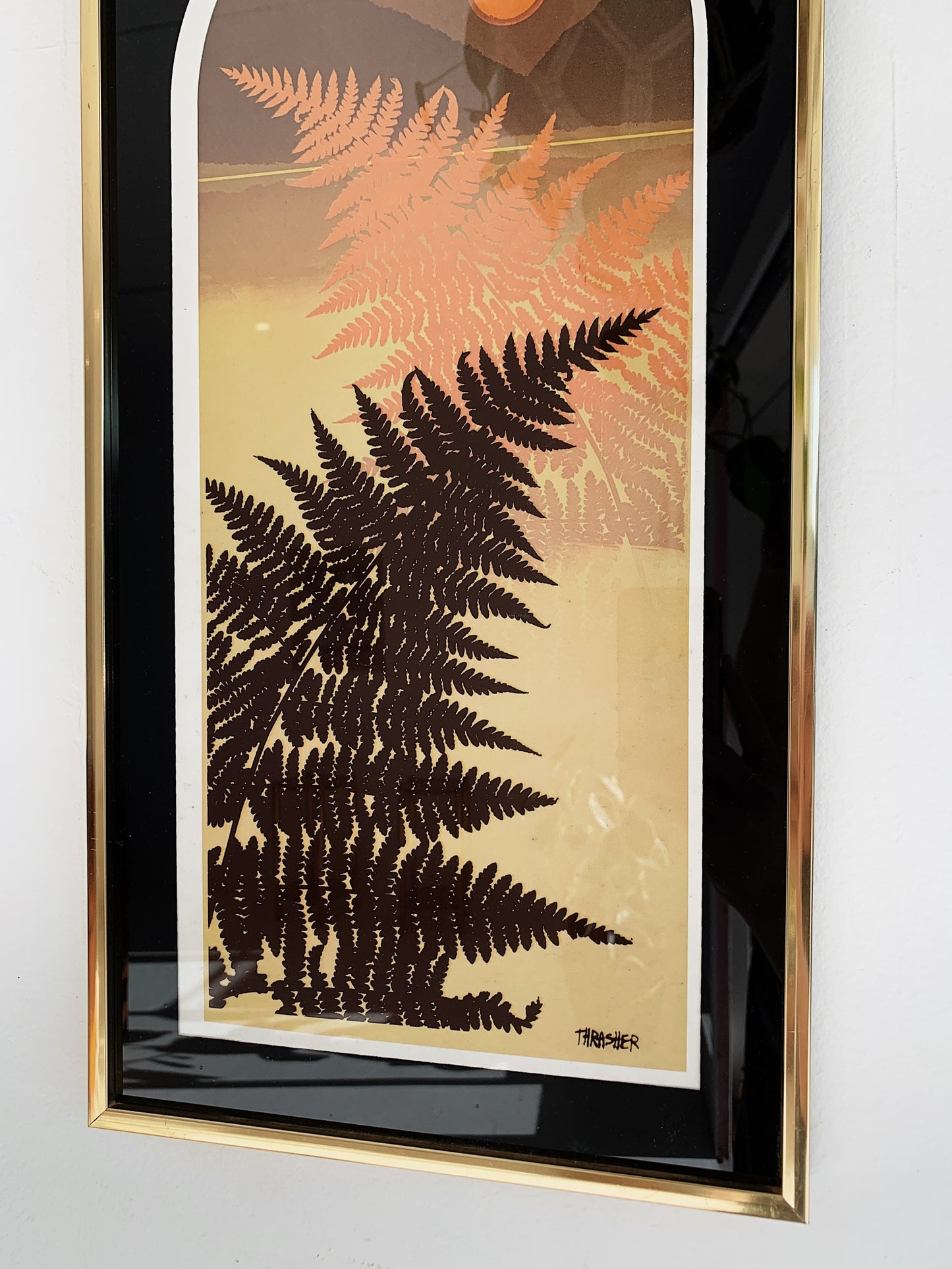 Vintage Virgil Thrasher Ferns Framed Print