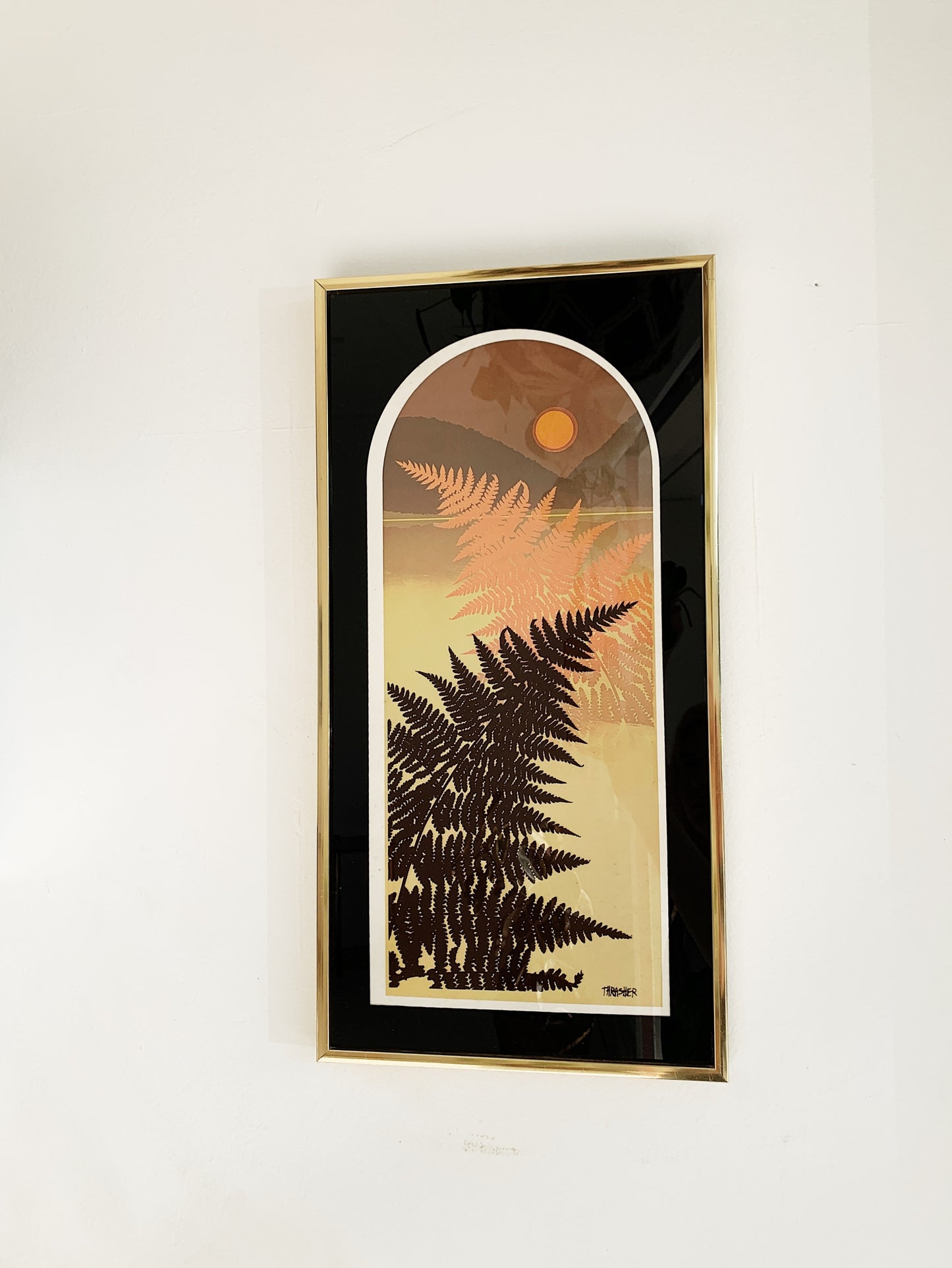 Vintage Virgil Thrasher Ferns Framed Print