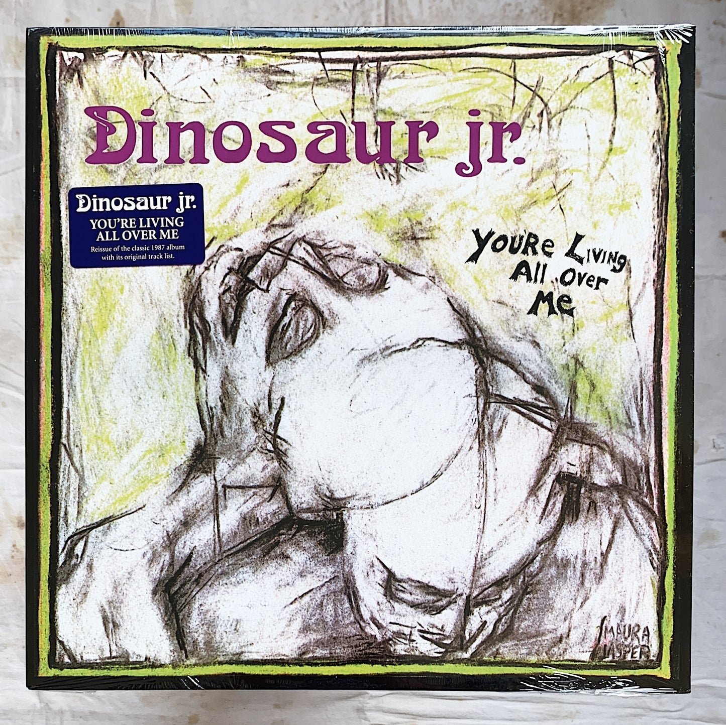 Dinosaur Jr / You're Living All Over Me LP