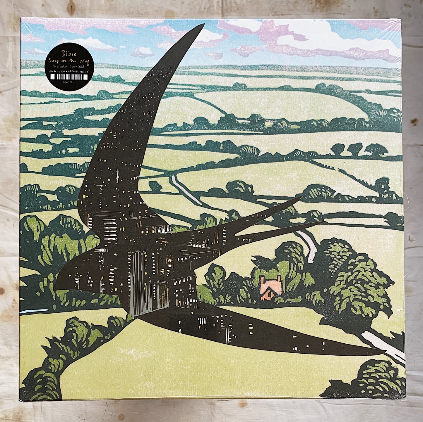 Bibio / Sleep On The Wing LP